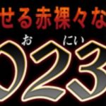 << 期間限定 10ドル割引 >> H0230（エッチなおにいさま）