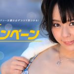 < 期間限定 > 150ドル割引（約23,500円割引） - 一本道