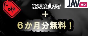 　【JAVHD】はひと月あたり12.99ドルで見放題（年額プランの場合） 公式キャンペーン表記をわかりやすく解説 | JAVHD【2026年1月 最新版】